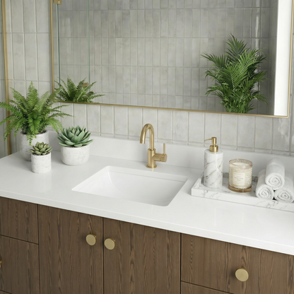 60" Cinnamon Triba Vanity – Single Sink