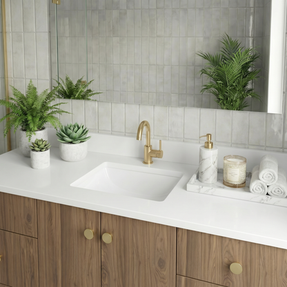 60" Frozen Walnut Vanity – Single Sink